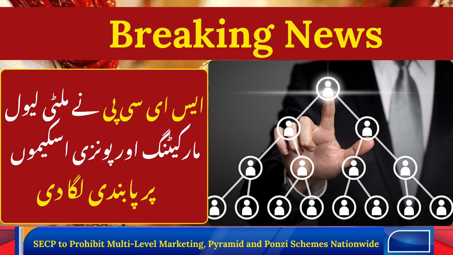 SECP to Prohibit Multi-Level Marketing, Pyramid and Ponzi Schemes Nationwide